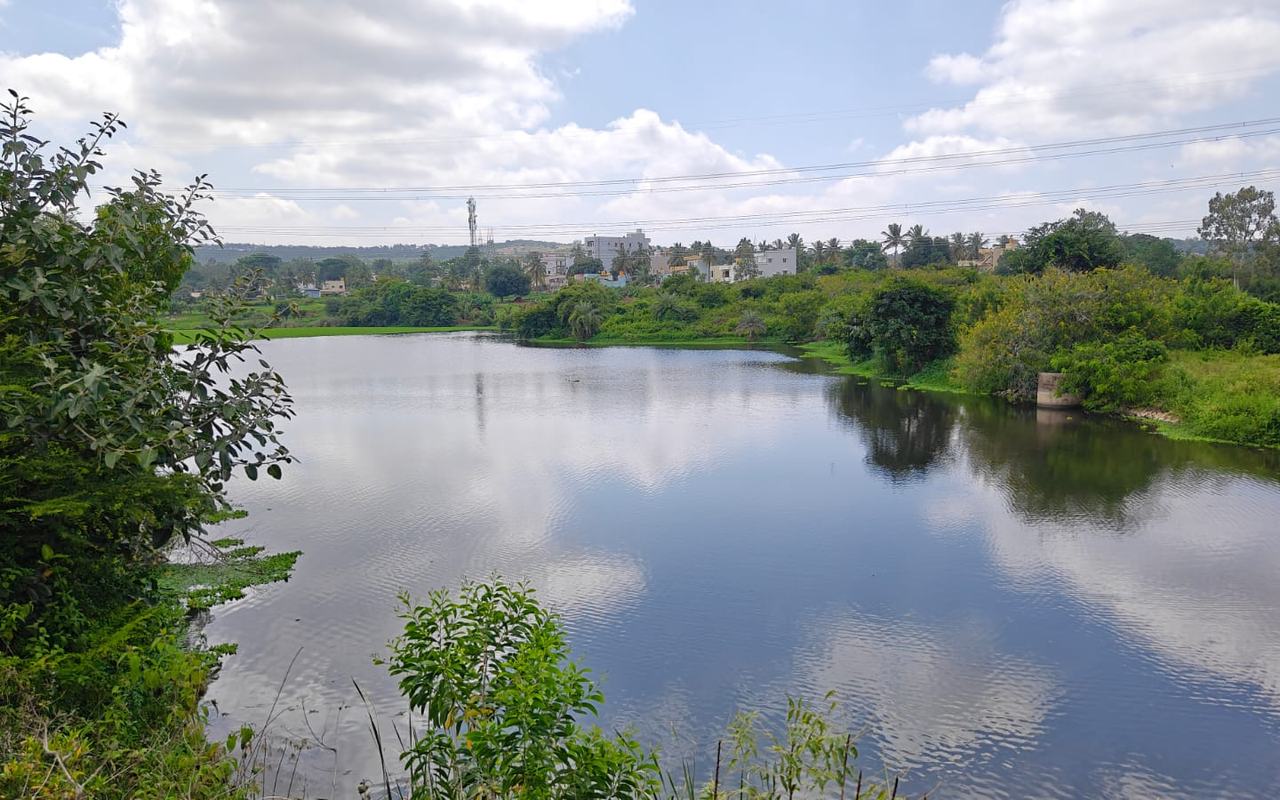 Byatarayana Doddi Lake, Bhoothanahalli village, Anekal — current condition at survey