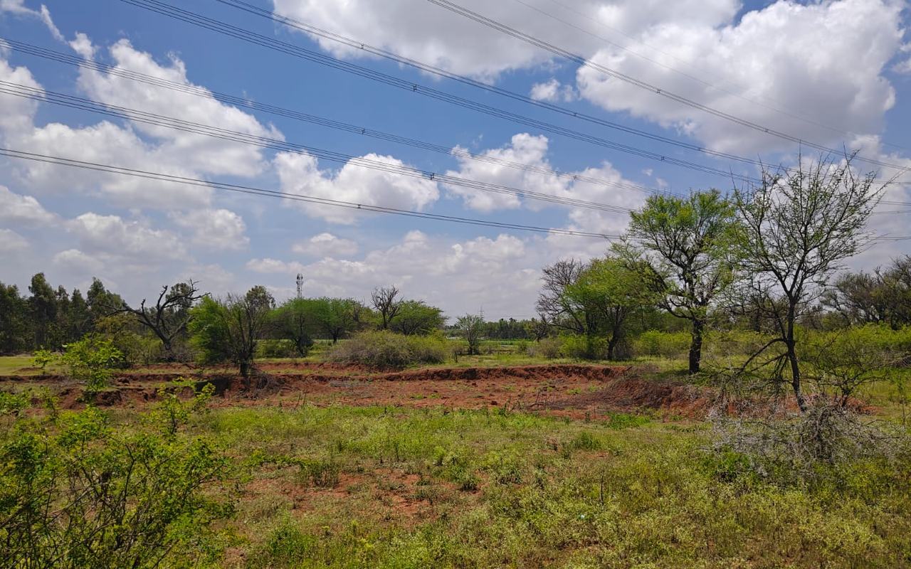 Haniyuru Lake, Haniyuru village, Bengaluru North — current condition at survey