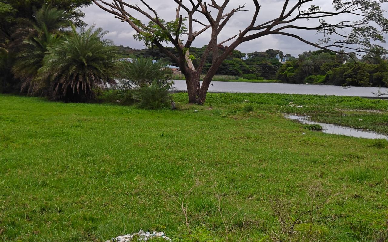 Kariyappanahalli Lake, Kariyappanahalli village, Anekal — current condition at survey
