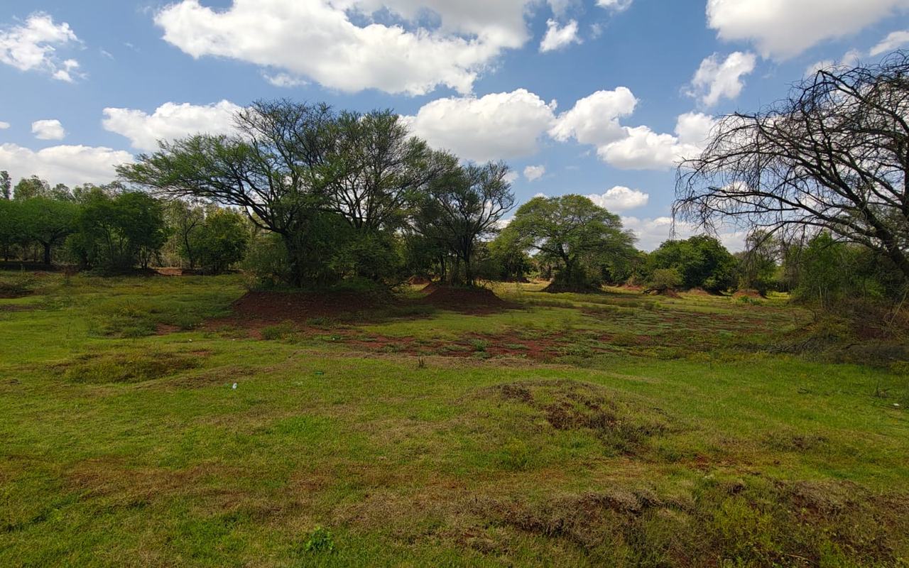 Seeresandra Lake, Seeresandra village, Bengaluru North — current condition at survey
